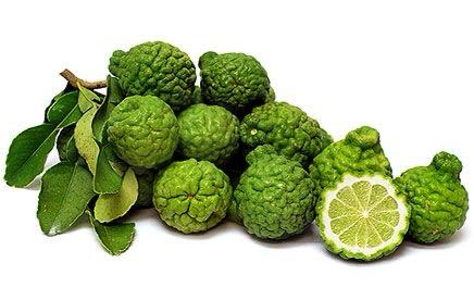 Kaffir Lemon Fruit Plant (Hybrid & Grafting) Pack Of-1