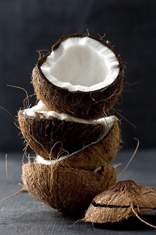 Hybrid Kerala Coconut Plant π₯₯ (Pack Of 1)