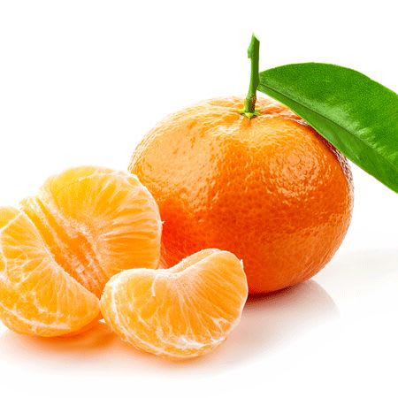Hybrid Kinnow Orange Grafting Fruit Plant πππ(Pack Of 1)