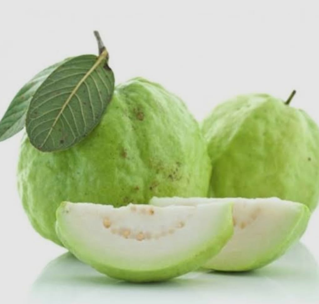 Hybrid Vnr Guava Fruit Plant (Pack Of-1 )