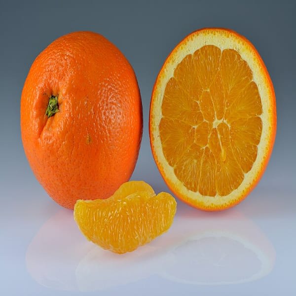 Hybrid Jaffa Orange 🍊🍊🍊 Grafting Fruit Plant (Pack Of-1 )