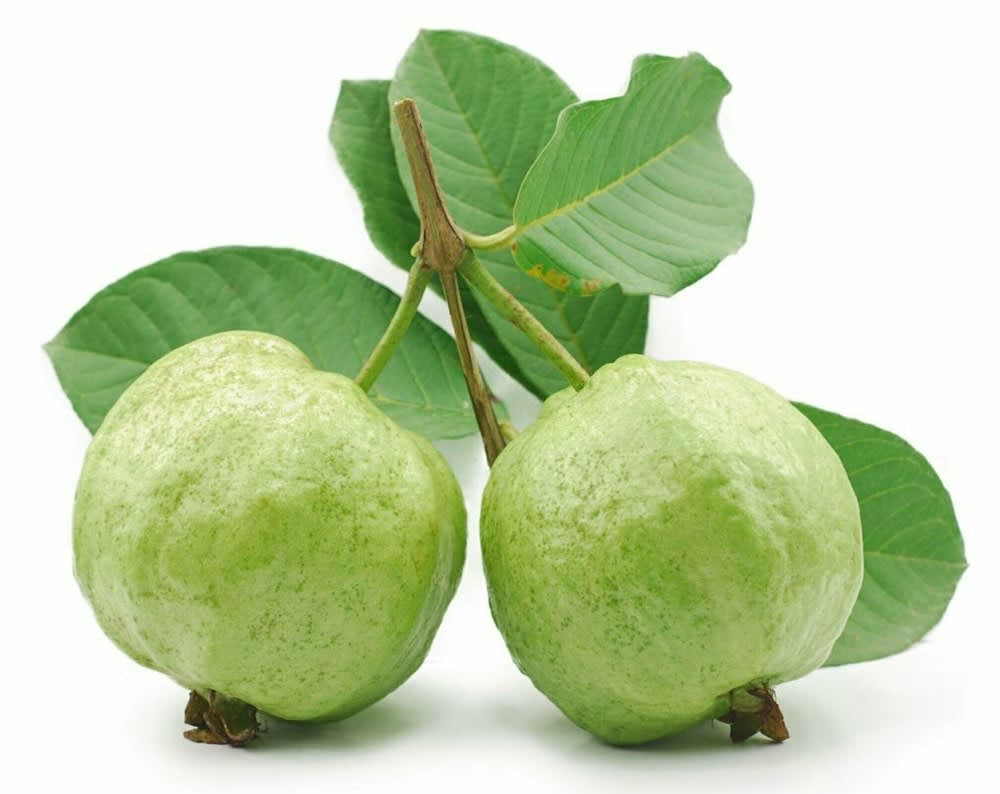 Bangladeshi Hybrid Guava Plant (Pack Of 1)