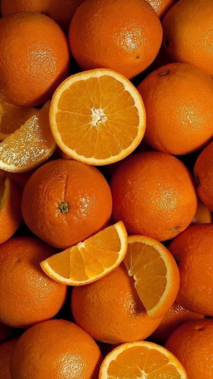 Egyptian Valencia orange plant  (Pack Of 1)