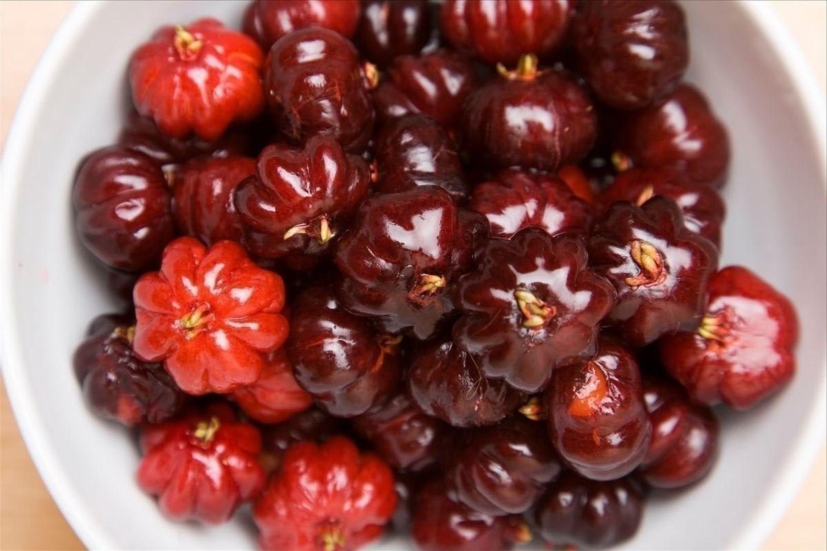 Hybrid Black Surinam Cherry Fruit Plant ( Pack Of-1 )