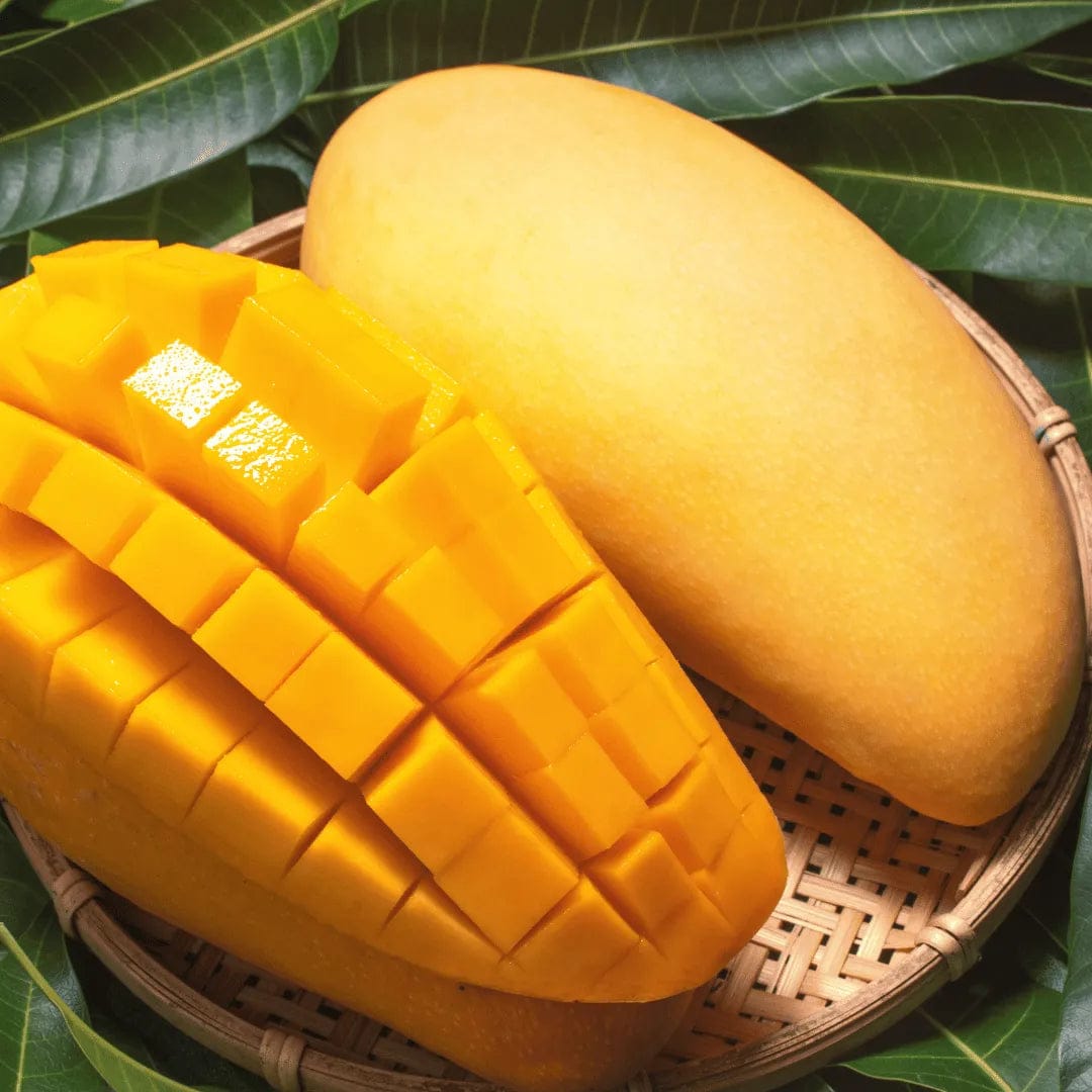 Thai Nurjahan Mango 🥭🥭🥭 Grafting Fruit Live Plant (1.5-3 Feet Height Pack Of 1)